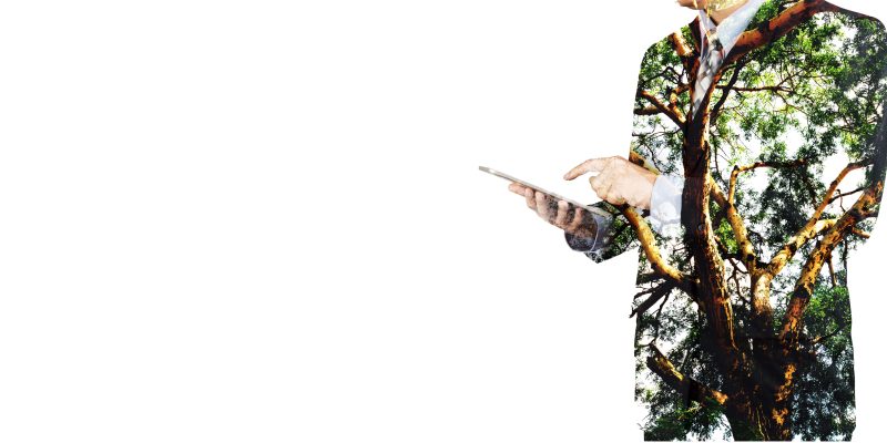 PORTADA-1PEE2019-cero.papel